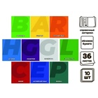 Набор предметных тетрадей Calligrata. MonoTone, 10 предметов, 36 листов, со справочным материалом, серые листы, обложка из мелованной бумаги - Фото 3