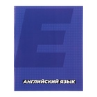 Набор предметных тетрадей Calligrata. MonoTone, 10 предметов, 36 листов, со справочным материалом, серые листы, обложка из мелованной бумаги - фото 120345698