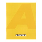 Набор предметных тетрадей Calligrata. MonoTone, 10 предметов, 36 листов, со справочным материалом, серые листы, обложка из мелованной бумаги - Фото 4