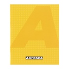 Набор предметных тетрадей Calligrata. MonoTone, 10 предметов, 36 листов, со справочным материалом, серые листы, обложка из мелованной бумаги - Фото 11