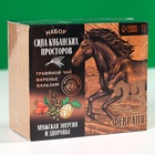 Подарочный набор «23 февраля »: чай травяной 20 г, бальзам с шиповником 100 мл., варенье из сосновых шишек 30 г - Фото 9