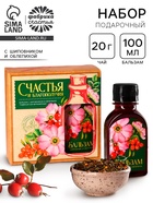 Подарочный набор «Счастья и благополучия»: чай травяной 20 г, бальзам с шиповником и облепихой 100 мл. - Фото 1