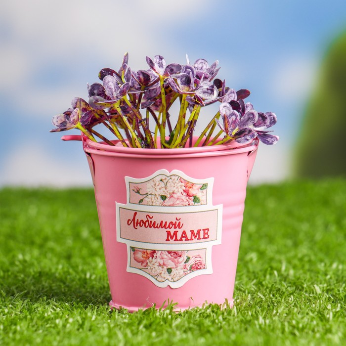 Кашпо-ведерко "Любимой маме" 6х6х6см - Фото 1