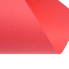 Бумага цветная Calligrata, А4, 500 листов, 5 цветов, умеренный интенсив, 80 г/м², МИКС - Фото 11