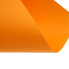 Бумага цветная Calligrata, А4, 500 листов, 5 цветов, умеренный интенсив, 80 г/м², МИКС - Фото 9