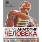 Атлас анатомии человека. Подробное иллюстрированное руководство. Робертс Э. - фото 291532452
