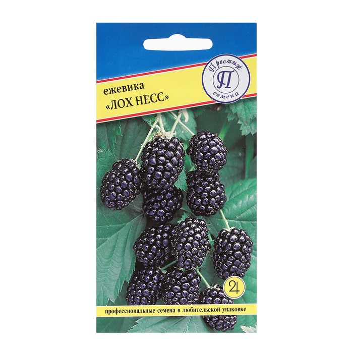 Семена Ежевика ремонтантная "Лох Несс" , 10 шт - Фото 1