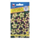 Семена Петуния ампельная «Лавина Пурпур-желтая звезда» F1, 10 драже, «Престиж семена» - Фото 1