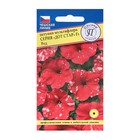 Семена цветов Петуния мультифлора "Дот стар" F1 Ред, 7 др - Фото 1