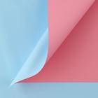 Плёнка для цветов упаковочная пудровая двухсторонняя «Розовый+голубой», 50 мкм, 0.5 х 9 м - фото 10239867