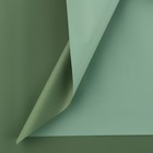 Плёнка для цветов упаковочная пудровая двухсторонняя «Ментол + имбирная мята», 50 мкм, 0.5 х 9 м - фото 9827224