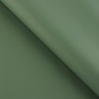Плёнка для цветов упаковочная пудровая двухсторонняя «Ментол + имбирная мята», 50 мкм, 0.5 х 9 м - фото 9827226