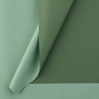 Плёнка для цветов упаковочная пудровая двухсторонняя «Ментол + имбирная мята», 50 мкм, 0.5 х 9 м - Фото 4