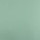 Плёнка для цветов упаковочная пудровая двухсторонняя «Ментол + имбирная мята», 50 мкм, 0.5 х 9 м - Фото 5