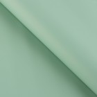 Плёнка для цветов упаковочная пудровая двухсторонняя «Ментол + имбирная мята», 50 мкм, 0.5 х 9 м - фото 9827229