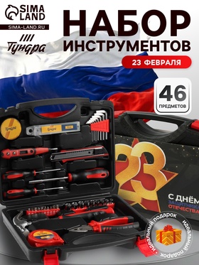 Набор инструментов в кейсе ТУНДРА «23 ФЕВРАЛЯ», в подарочной упаковке, 46 предметов  (артикул 9305223)  большой выбор товаров оптом и в розницу по низким ценам с доставкой