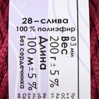 Шнур для вязания 100% полиэфир 3мм 100м/200±20гр (28-слива) - Фото 4