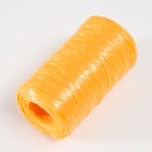 Пряжа для ручного вязания 100% полипропилен 200м/50гр. (03-облепиха) - Фото 2