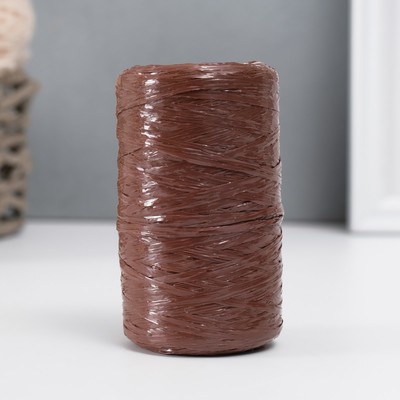 Пряжа для ручного вязания 100% полипропилен 200м/50гр. (09-коричневый) МИКС