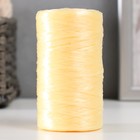 Пряжа для ручного вязания 100% полипропилен 200м/50гр. (32-чайная роза) - фото 319259800