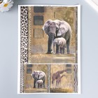 Декупажная карта "Слоны, жирафы" плотность 45 г/м2 формат А4 - фото 319260314