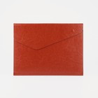 Папка для документов, цвет рыжий - фото 10242417