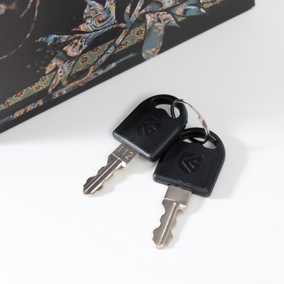 Шкатулка книга-сейф «Птицы и завитки», дерево, искусственная кожа, 21×13×5 см