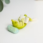 Сувенир полистоун "Лягушонок - чтение лёжа" 1,9х6,1х2,4 см - фото 22011454