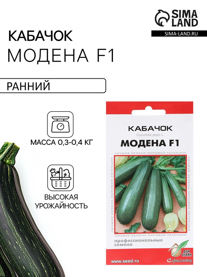 Семена Кабачок «Модена», F1, 5 шт., «Дом семян» - Фото 1