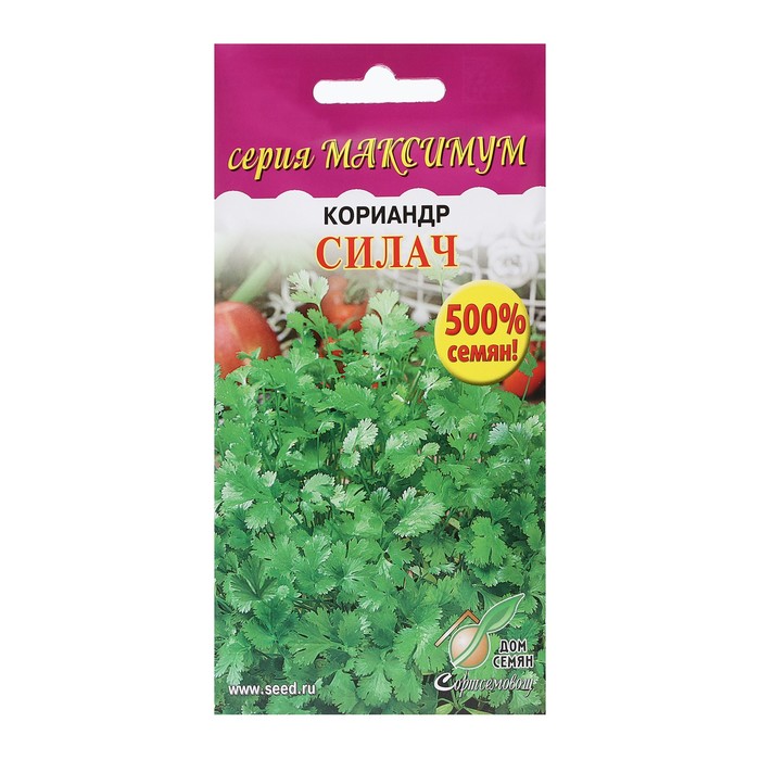 Семена Кориандр «Силач», 1100 шт., «Дом семян» - Фото 1