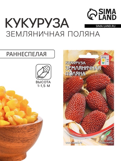Семена Кукуруза «Земляничная Поляна», декоративная, 14 шт., «Дом семян»
