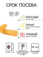 Семена Кукуруза «Земляничная Поляна», декоративная, 14 шт., «Дом семян» - Фото 2