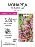 Семена цветов Монарда лимонная «Бегемот», 110 шт., «Дом семян» - Фото 1