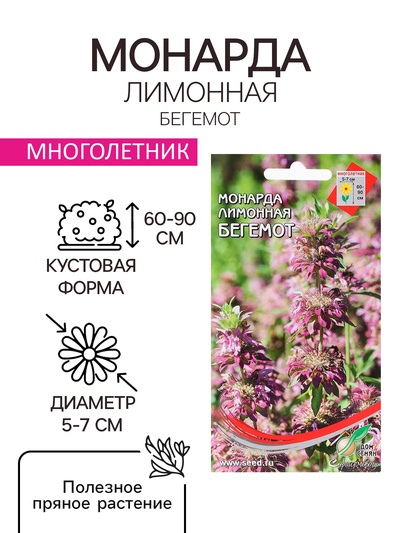 Семена цветов Монарда лимонная «Бегемот», 110 шт., «Дом семян»