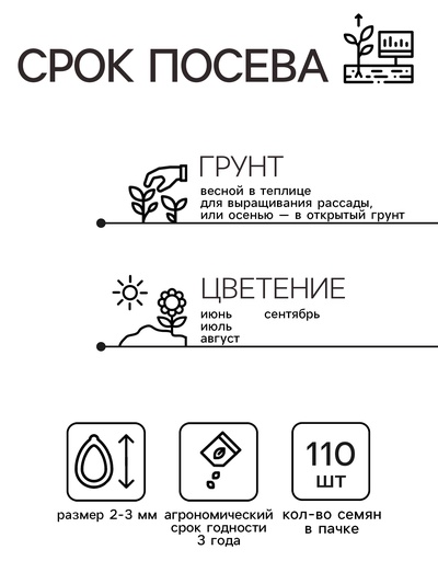 Семена цветов Монарда лимонная «Бегемот», 110 шт., «Дом семян»