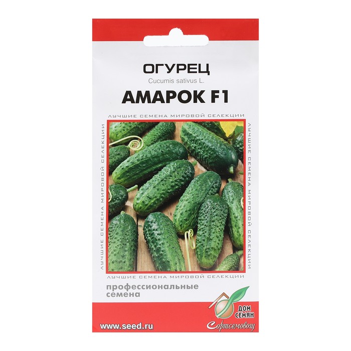 Семена Огурец «Амарок», F1, 6 шт., «Дом семян» - Фото 1