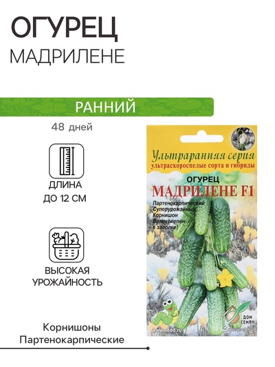 Семена Огурец "Мадрилене", F1, 6 шт