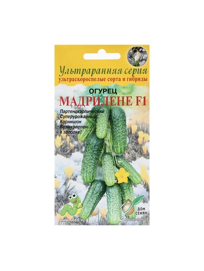 Семена Огурец "Мадрилене",  F1, 6 шт