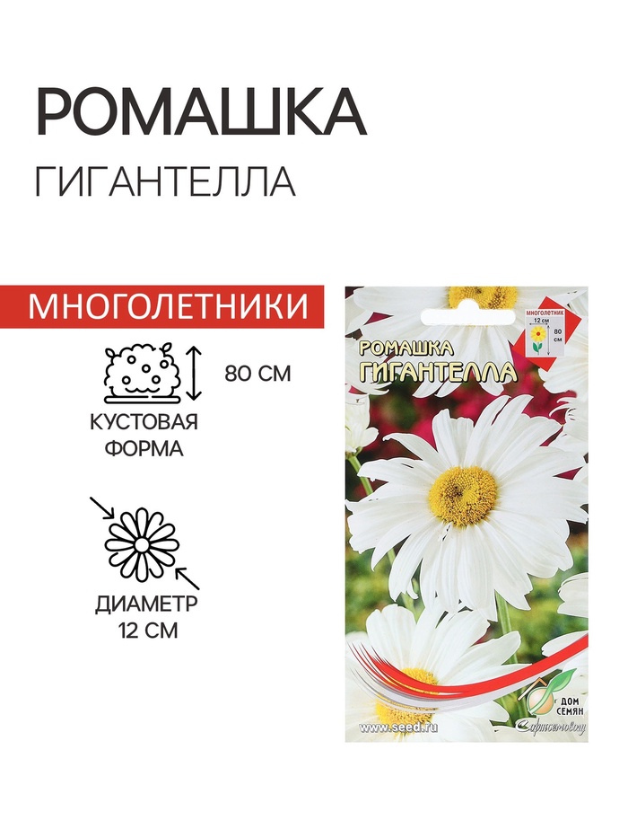 Семена Ромашка "Гигантелла", 70 шт - Фото 1