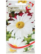 Семена Ромашка "Гигантелла", 70 шт - Фото 5