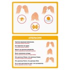 Развивающая игра «Пальчиковая гимнастика в стихах», 3+ - Фото 3