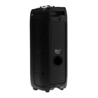 Портативная колонка Telefunken TF-MS3303, 90 Вт, 5000 мАч, TWS, AUX, FM, дисплей, подсветка - фото 51324820 Портативная колонка Telefunken TF-MS3303, 90 Вт, 5000 мАч, TWS, AUX, FM, дисплей, подсветка - фото 51324820