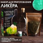 УЦЕНКА Набор для приготовления алко "Мятный ликёр", набор трав и специй, бутылка, шиммер - Фото 1