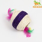 Шарик сизалевый большой с пластиковым внутри, 7.5 см, фиолетовый/белый - Фото 1