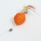 Дразнилка "Сизалевый шар" с перьями и бубенчиком, на деревянной ручке, 40 см, оранжевый шар - фото 6808200