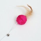 Дразнилка "Сизалевый шар" с перьями и бубенчиком, на деревянной ручке, 40 см, розовый шар - фото 6808204