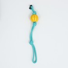 Игрушка канатная плетёная с мячом, до 45 см, до 115 г, голубая/желтая - фото 6808214