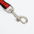 Поводок 3 м × 1.5 см, красно-чёрный - Фото 2