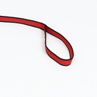 Поводок 3 м × 1.5 см, красно-чёрный - Фото 3