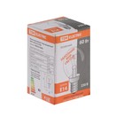 Лампа накаливания TDM "Шар прозрачный", 60 Вт, Е14 - фото 24245308